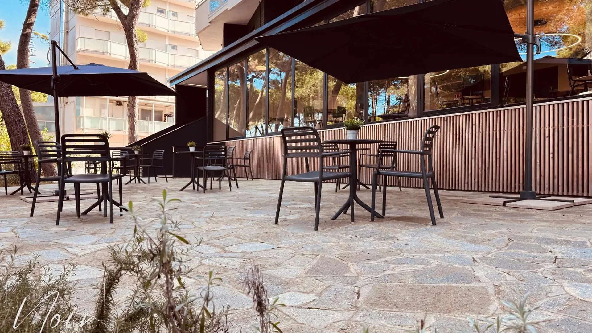 Hotel Noir - Free Breakfast & Brunch Until 13-00 - Vicinissimi A Mirabilandia Milano Marittima